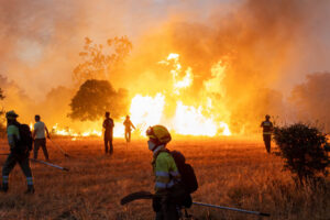 Earth’s Warming Primed France and Spain to Burn, Scientists Find